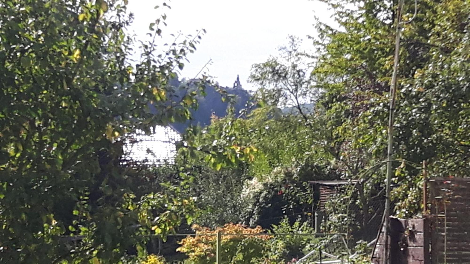 Trasser * Traben-Trarbach
